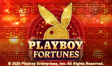 Playboy Fortune